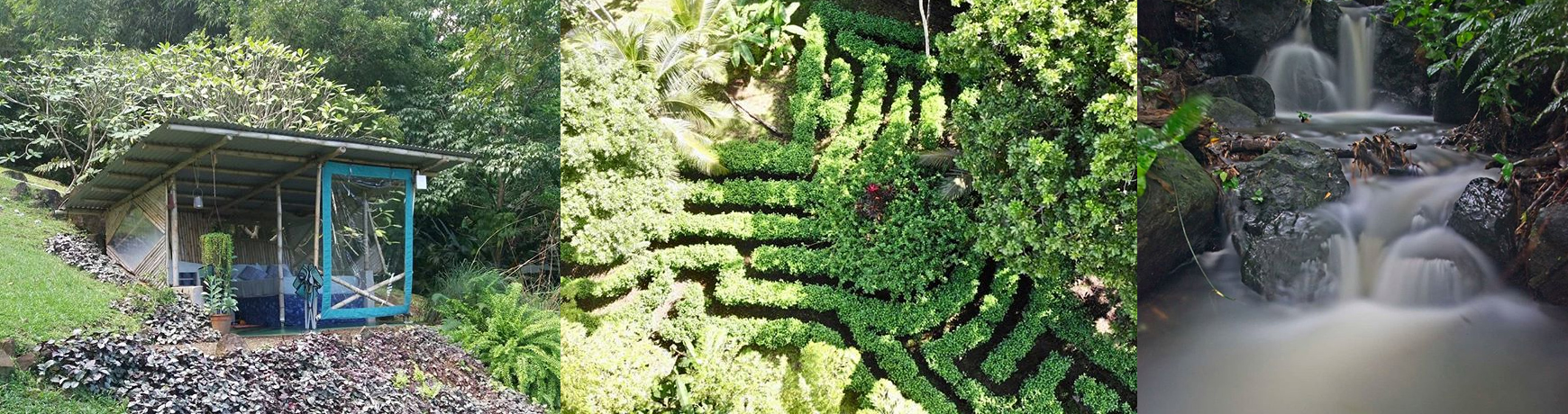 Tesoro Verde